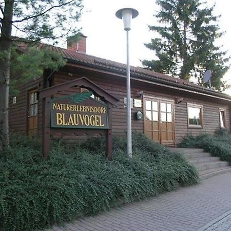 Ferienhaus Nr 32, Typ A, Ferienanlage Blauvogel, Hasselfelde, Harz Esterno foto