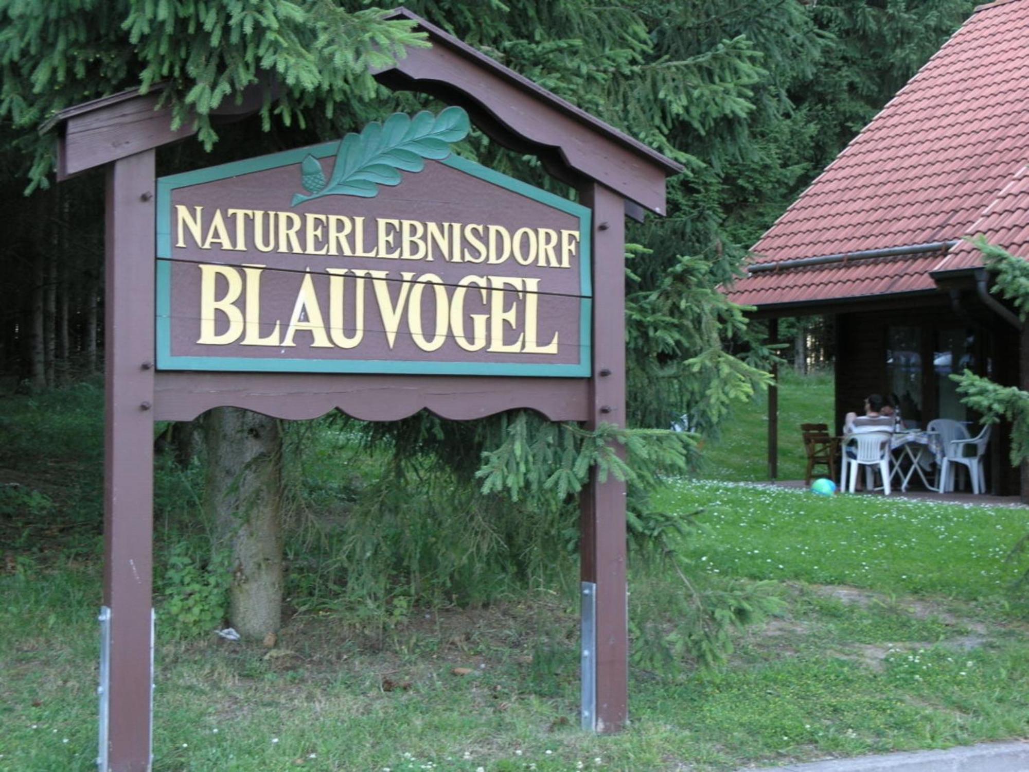 Ferienhaus Nr 32, Typ A, Ferienanlage Blauvogel, Hasselfelde, Harz Esterno foto